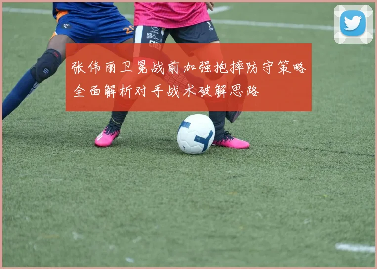 张伟丽卫冕战前加强抱摔防守策略全面解析对手战术破解思路